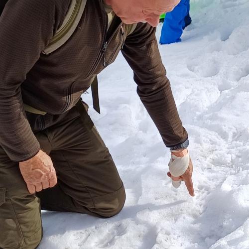 Wildtierfütterung 2023/24