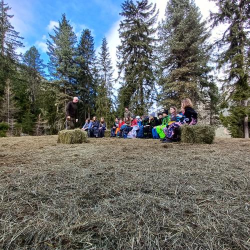 Wildtierfütterung 2023/24