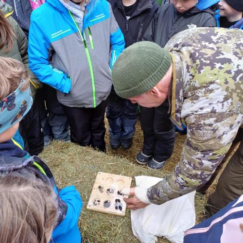 Wildtierfütterung 2023/24