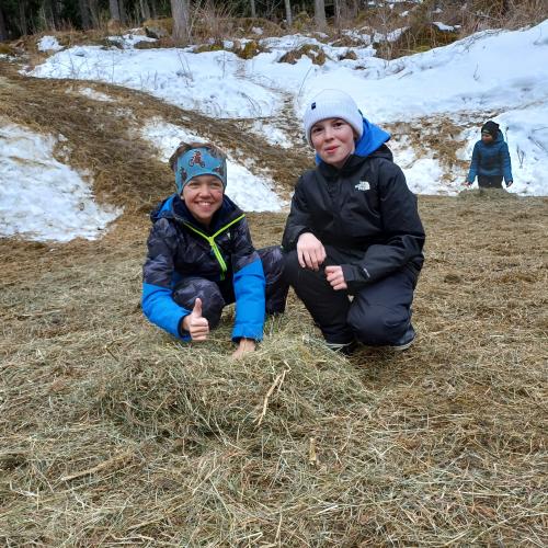 Wildtierfütterung 2023/24