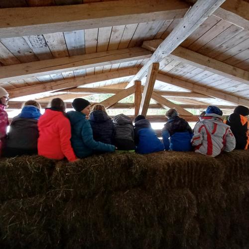 Wildtierfütterung 2023/24