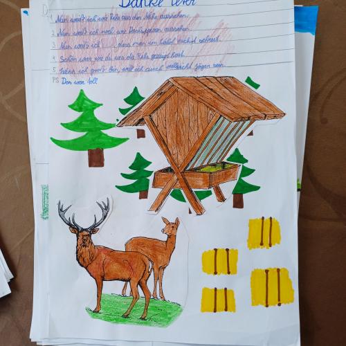 Wildtierfütterung 2023/24