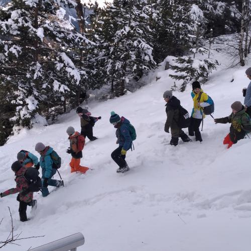 Naturparktag 1ab Winter 2025