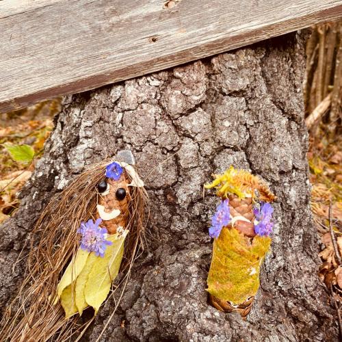 Herbstwandertag 2024 1ab