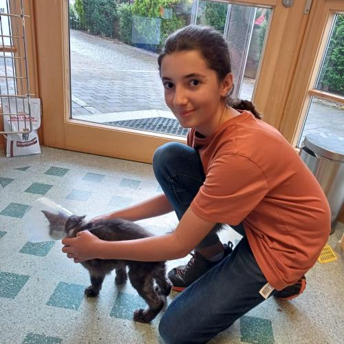 Berufspraktische Tage 4ab 2024