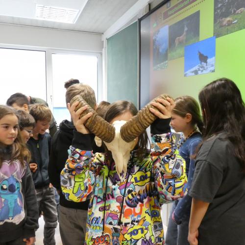 Jägerbesuch 2024/25