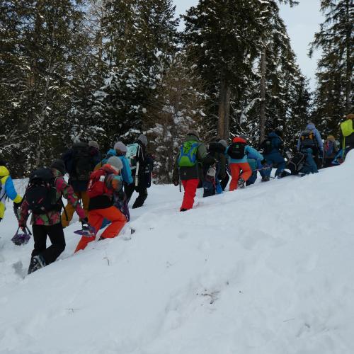 Naturparktag 1ab Winter 2025