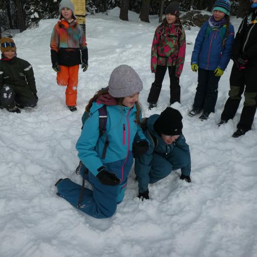 Naturparktag 1ab Winter 2025