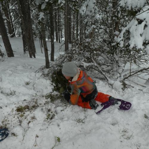 Naturparktag 1ab Winter 2025