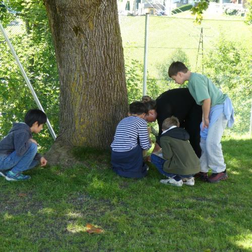 Bücherei Herbst 2025