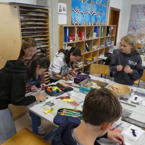 Insektenworkshop Vielfalt (Klassen 2a + 2b)