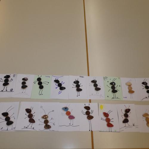 Insektenworkshop Vielfalt (Klassen 2a + 2b)