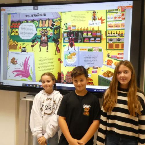 Insektenworkshop Vielfalt (Klassen 2a + 2b)