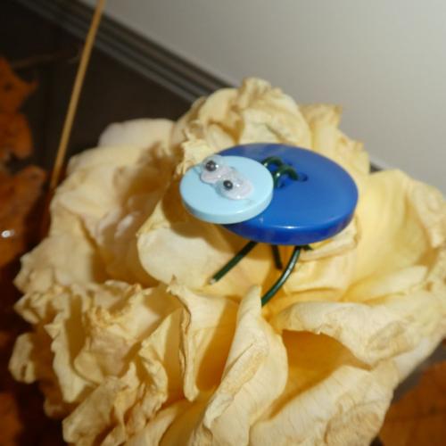 Insektenworkshop Vielfalt (Klassen 2a + 2b)