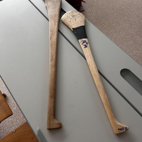 A Thousand Welcomes at MS Pitztal