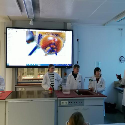 Tag der offenen Tür