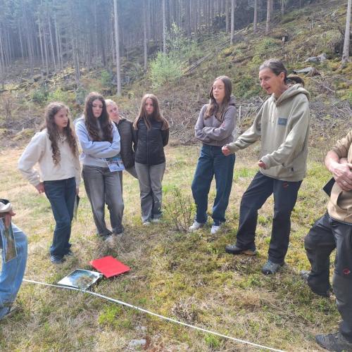 Geologie Ritzenried