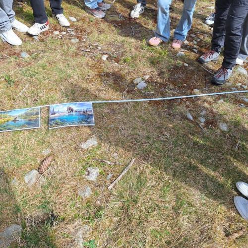 Geologie Ritzenried
