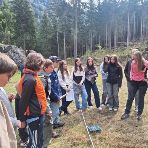 Geologie Ritzenried